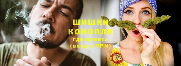 бошки Заводоуковск