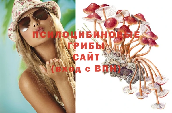 бошки Заводоуковск