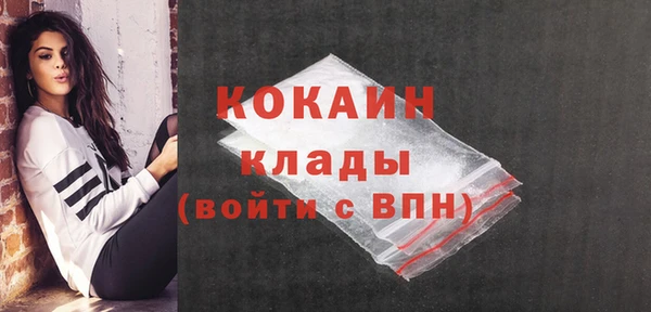 бошки Заводоуковск
