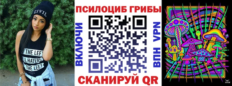 Купить где  Сысерть  Псилоцибиновые грибы Psilocybe 